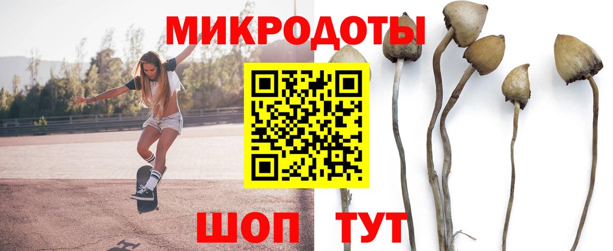 Слободской  Псилоцибиновые грибы ЛСД  Псилоцибиновые грибы мухоморы  Вход с VPN 